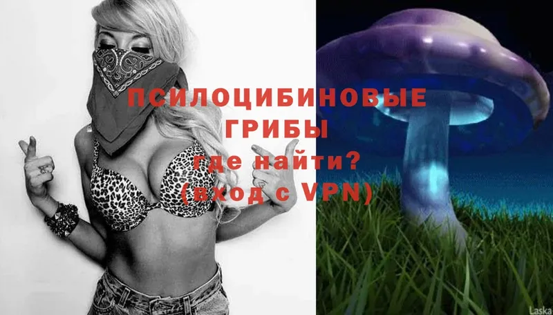 Псилоцибиновые грибы Magic Shrooms  Заволжье 